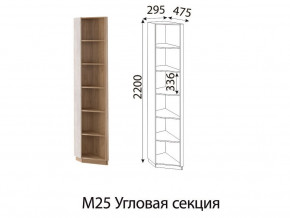 М25 Угловая секция в Тюмени - tyumen.магазин96.com | фото