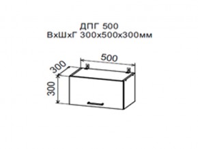 Шкаф верхний ДПГ500 горизонтальный в Тюмени - tyumen.магазин96.com | фото