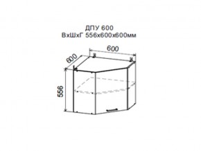 Шкаф верхний ДПУ600 угловой в Тюмени - tyumen.магазин96.com | фото